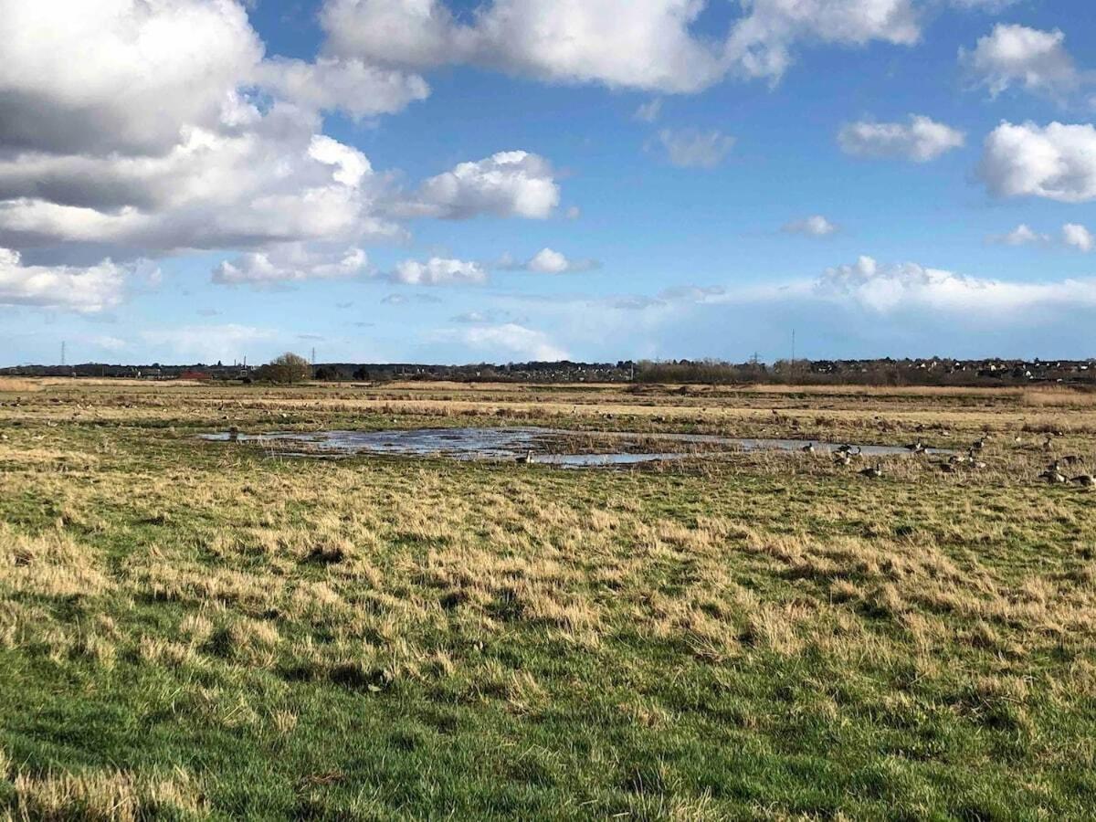 New Homely Countryside Escape Manningtree 외부 사진